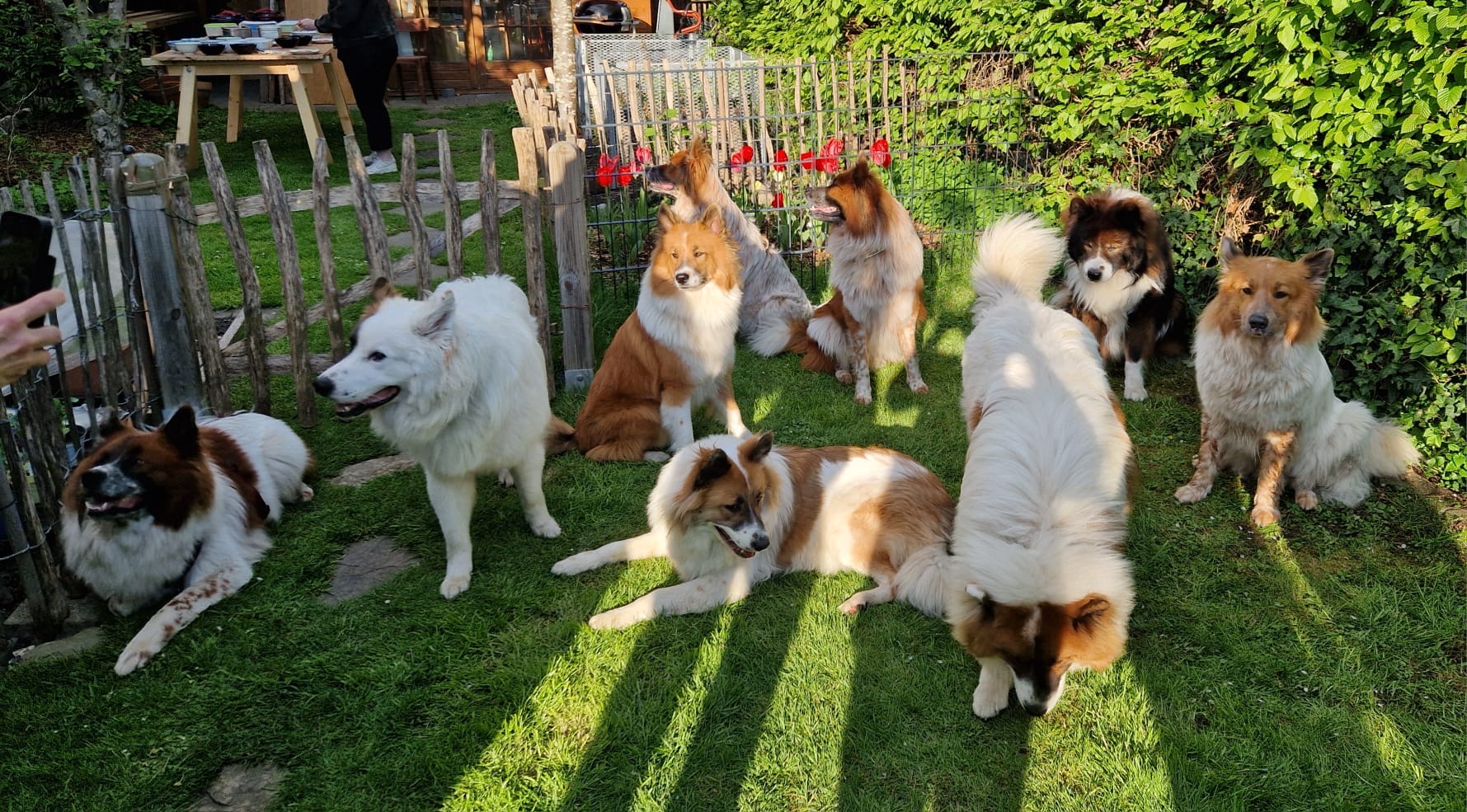 05dbe2a4-0326-4a75-9ceb-25e8040011b5