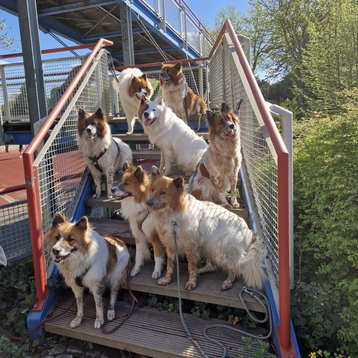 65d16d23-79be-4ee5-b6ff-73c57e5a842a