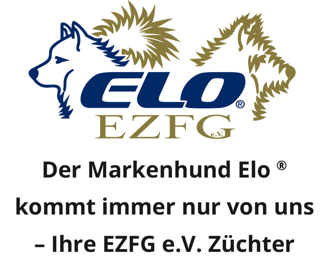 EZFG Logo