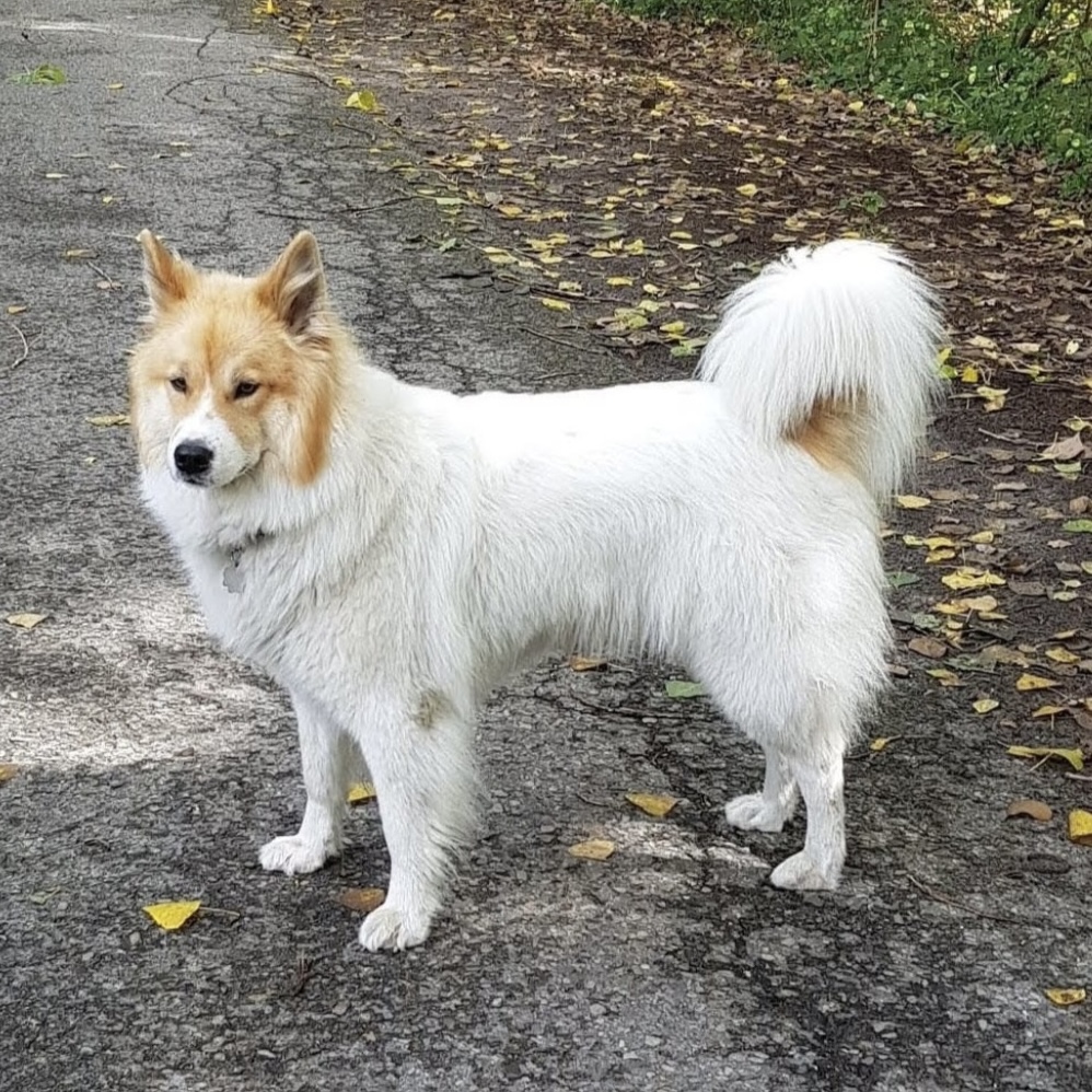 Barcelona von der Streuobstwiese (Gesa)